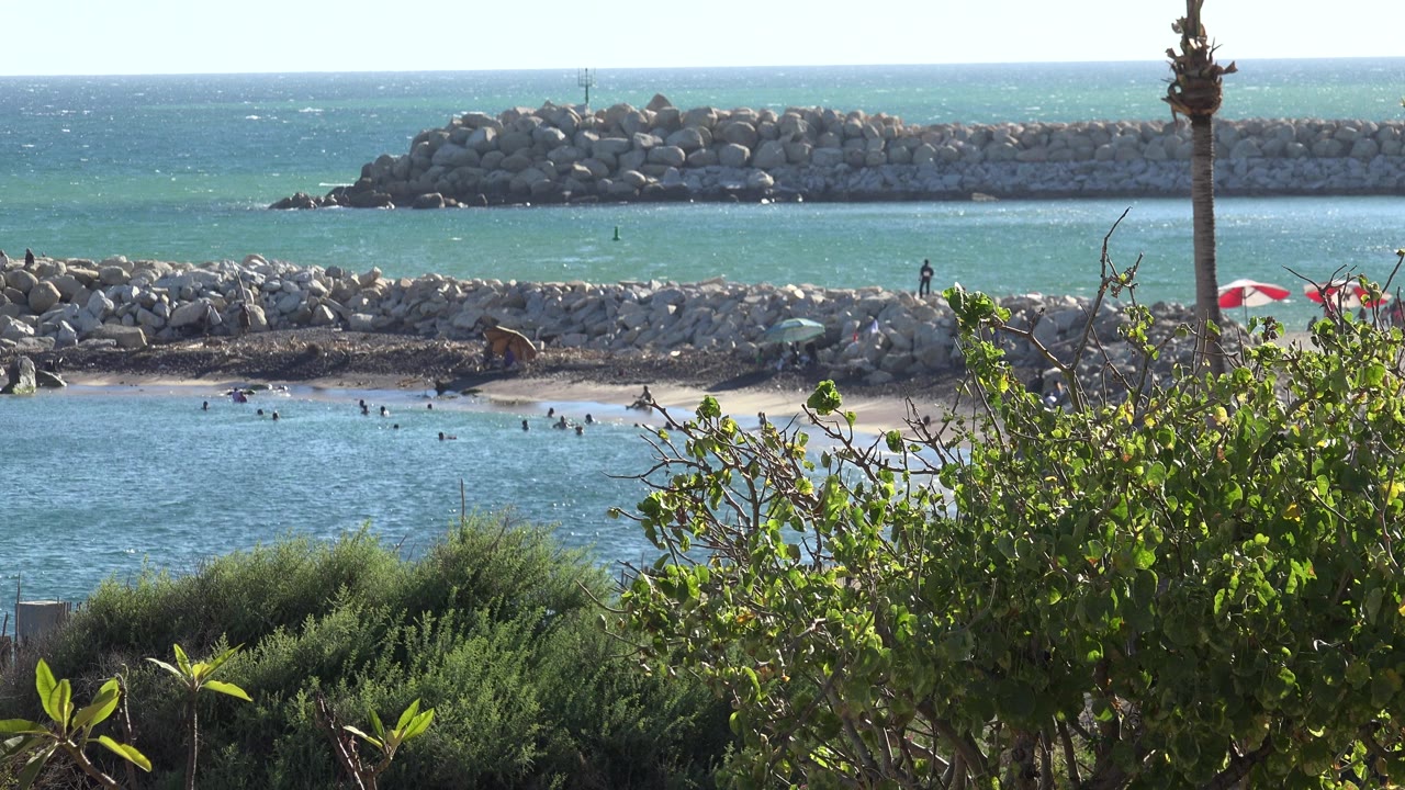 Sunny Grand Junction, Colorado beach view at the start of the clip, with foreground shrubs, blue water, distant swimmers, rock breakwaters, umbrellas, and a palm trunk.