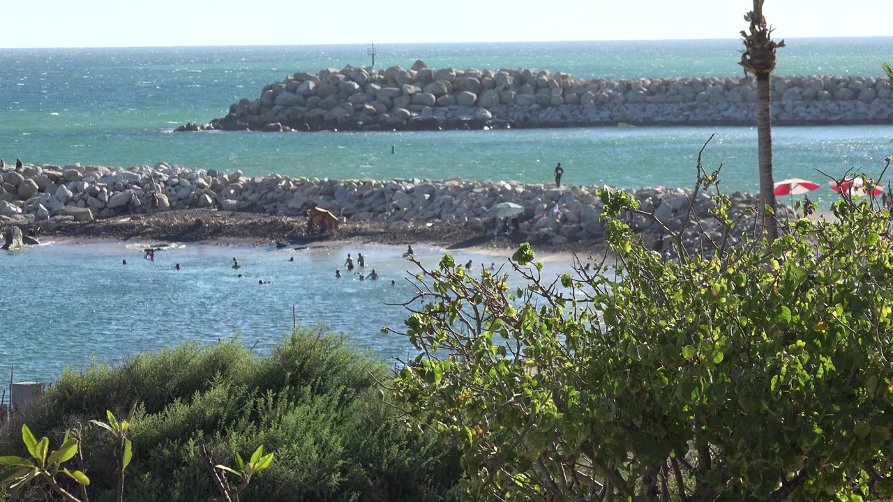 Distant swimmers near a rocky breakwater with foreground shrubs.