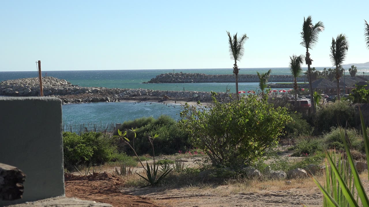 Opening frame of the Grand Junction, Colorado clip showing blue water, rocky breakwaters, palm trees, shrubs, dirt ground, and no visible people.