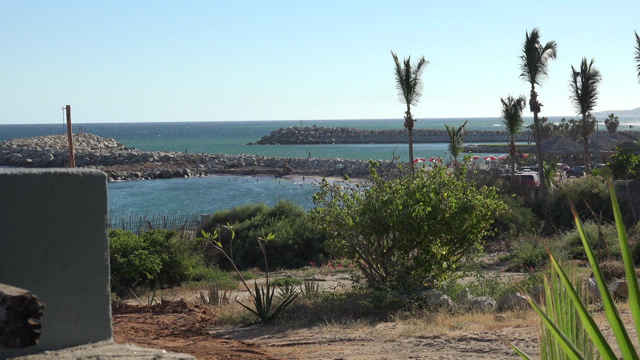 Blue ocean water, palm trees, scrub plants, and rock breakwaters in bright sun.