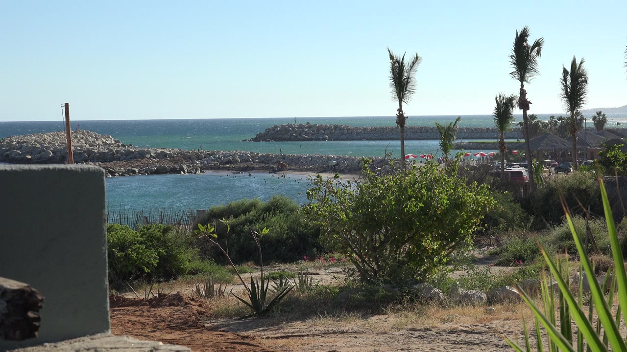 Grand Junction Colorado 2017 frame showing blue water beyond shrubs and a low wall, with palm trees near rocky breakwaters and no visible people.