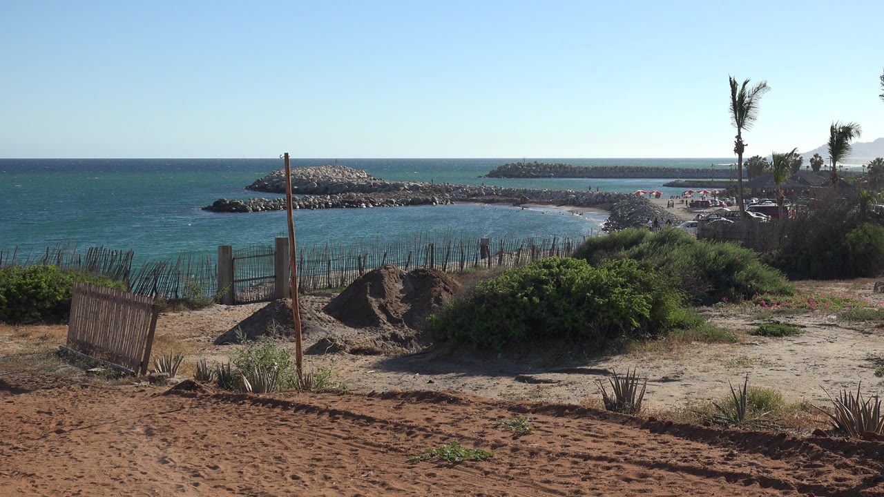 Beach plants and a sandy path above water with rock breakwaters.