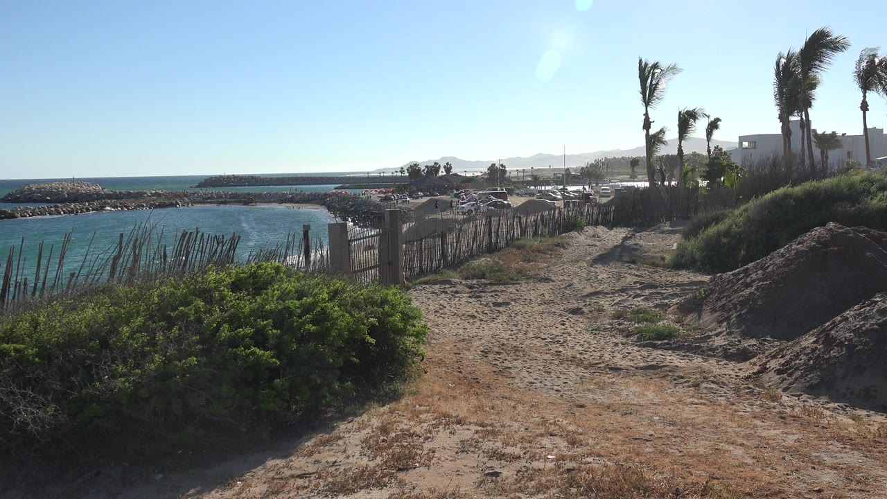 Sunny waterside dirt path with palms, fencing, rocks, and scrub