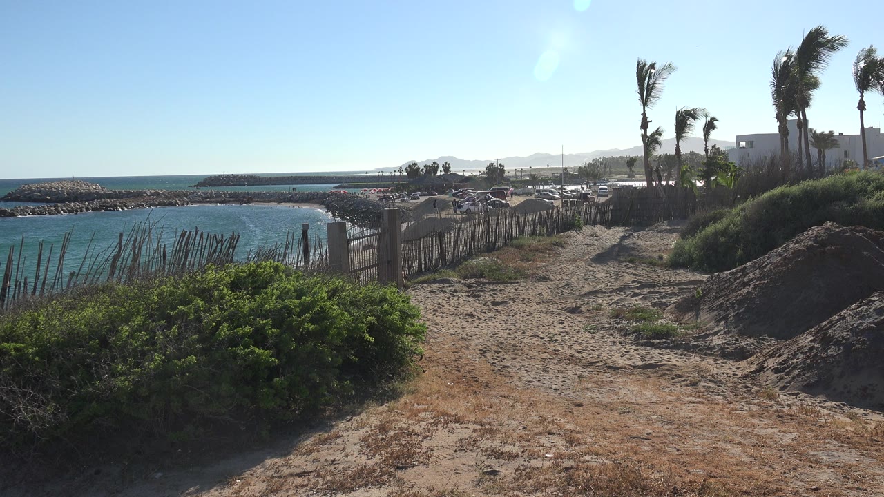Sandy path above blue water with palms and rough fencing