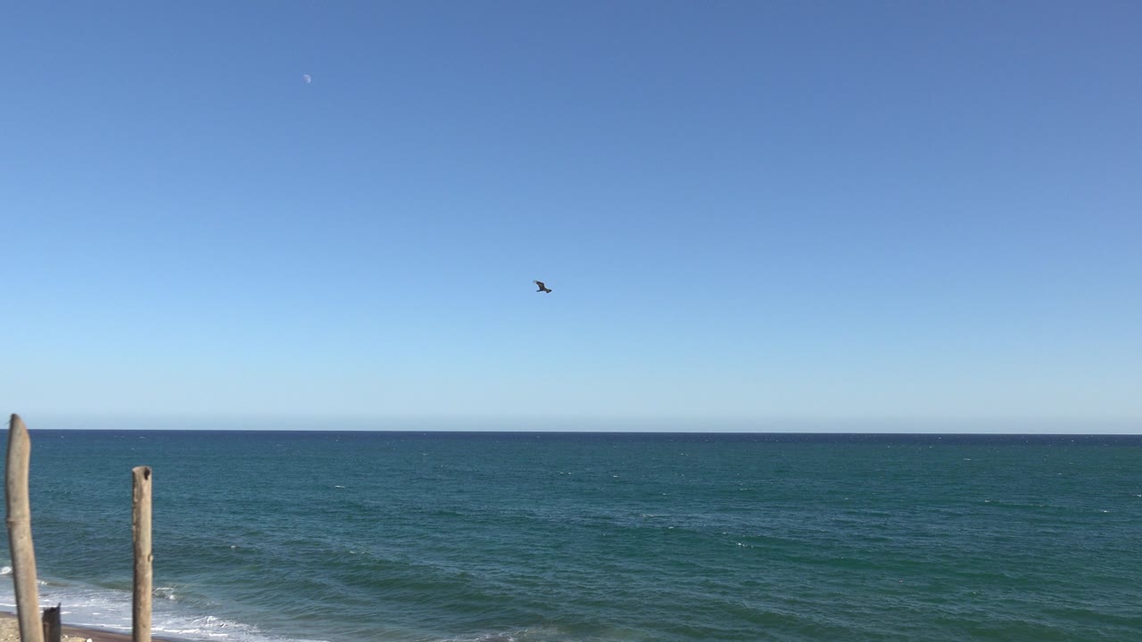 At the start of the Grand Junction, Colorado clip, a small dark bird flies high over green-blue water with sandy shore and wooden posts at the lower edge, with no visible people.