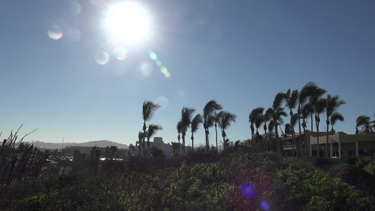 At 0:00, the Grand Junction, Colorado frame shows hard sun glare above wind-bent palm trees, dark foreground shrubs, low buildings, distant mountains, and no visible people.