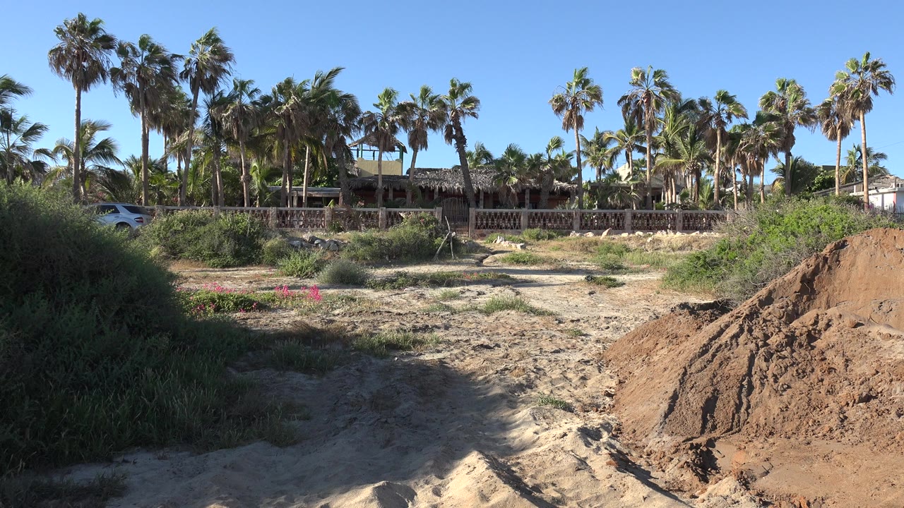 Sandy low area with scrub, palm trees, fence, and house in the background.
