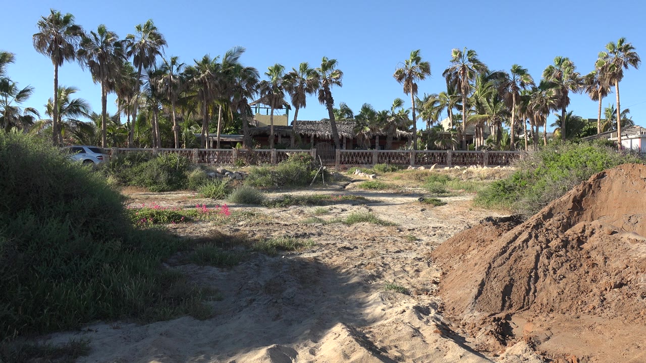 Empty sandy path with palms, shrubs, and a dirt mound.