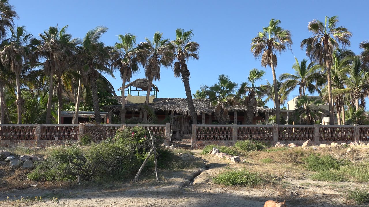 Grand Junction, Colorado frame showing a fenced shore house behind sandy brush and rocks, with dense palm trees under a clear blue sky and no visible people.