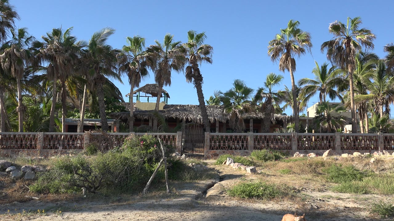 Grand Junction, Colorado frame with the house and fence centered behind scrub, rocks, and a small open sandy path, with tall palms above and no visible people.
