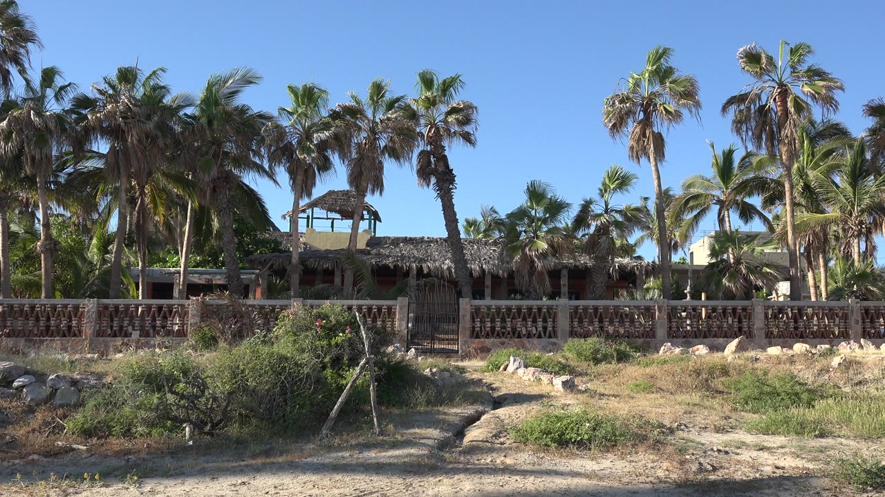 Palm trees and a fenced house front behind a dirt path