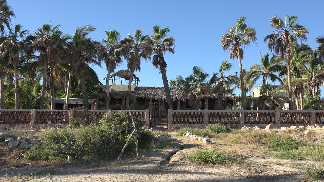 Grand Junction, Colorado house exterior seen across scrubby ground, with a central gate or fence break, tall palms above the roofline, and no visible people.
