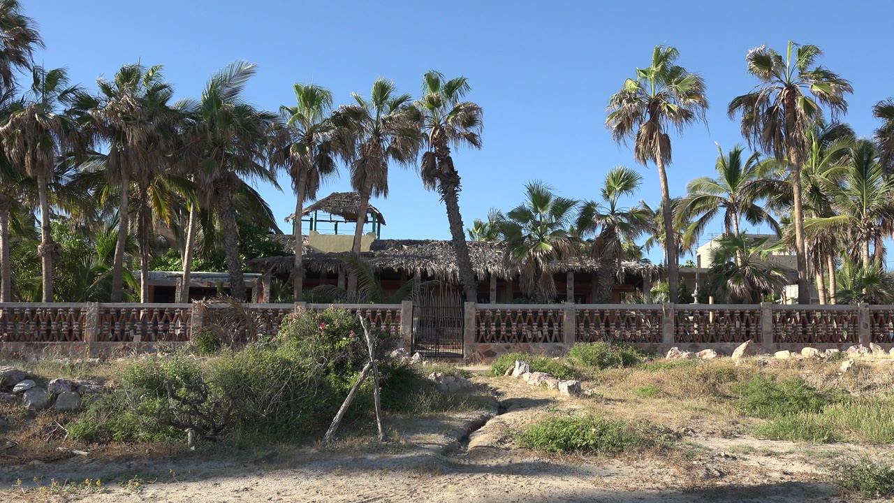Opening frame of tall palm trees behind a low fence and shaded house in Grand Junction, Colorado, with dry scrub in front and no visible people.