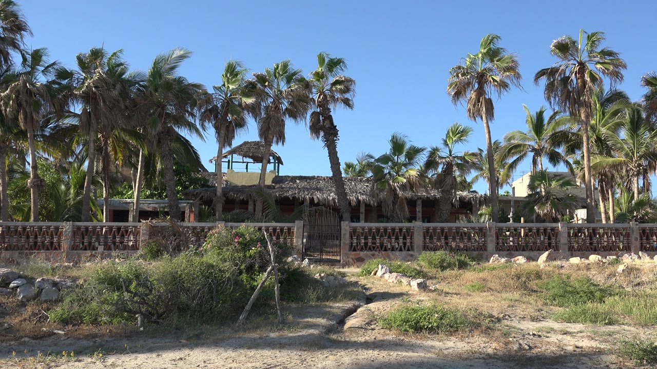 Palm trees and a fenced house exterior in bright sun.