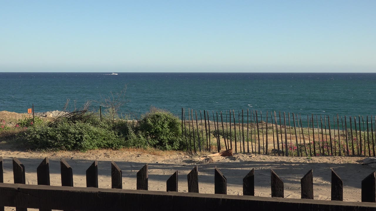 Ocean horizon behind beach vegetation and fence posts