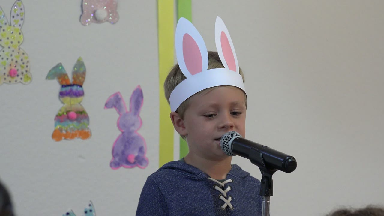 The boy in Cabo San Lucas, Mexico looks slightly downward while standing at the microphone, with colorful rabbit cutouts and a green vertical strip visible behind him.