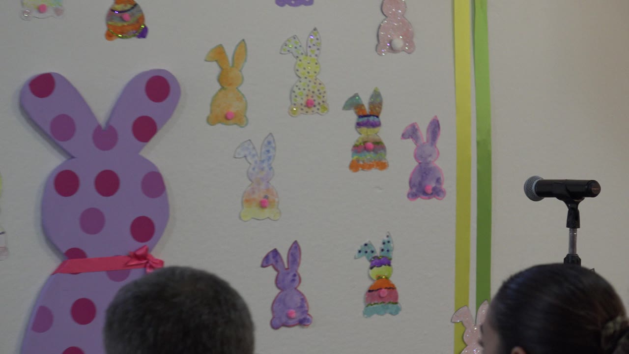 At 0:00 in Cabo San Lucas, Mexico, audience members are seen from behind facing a pink polka-dot bunny display and smaller bunny cutouts on the wall.
