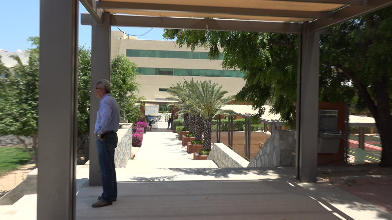 Shaded walkway view with palm trees, planters, and a man standing at left.