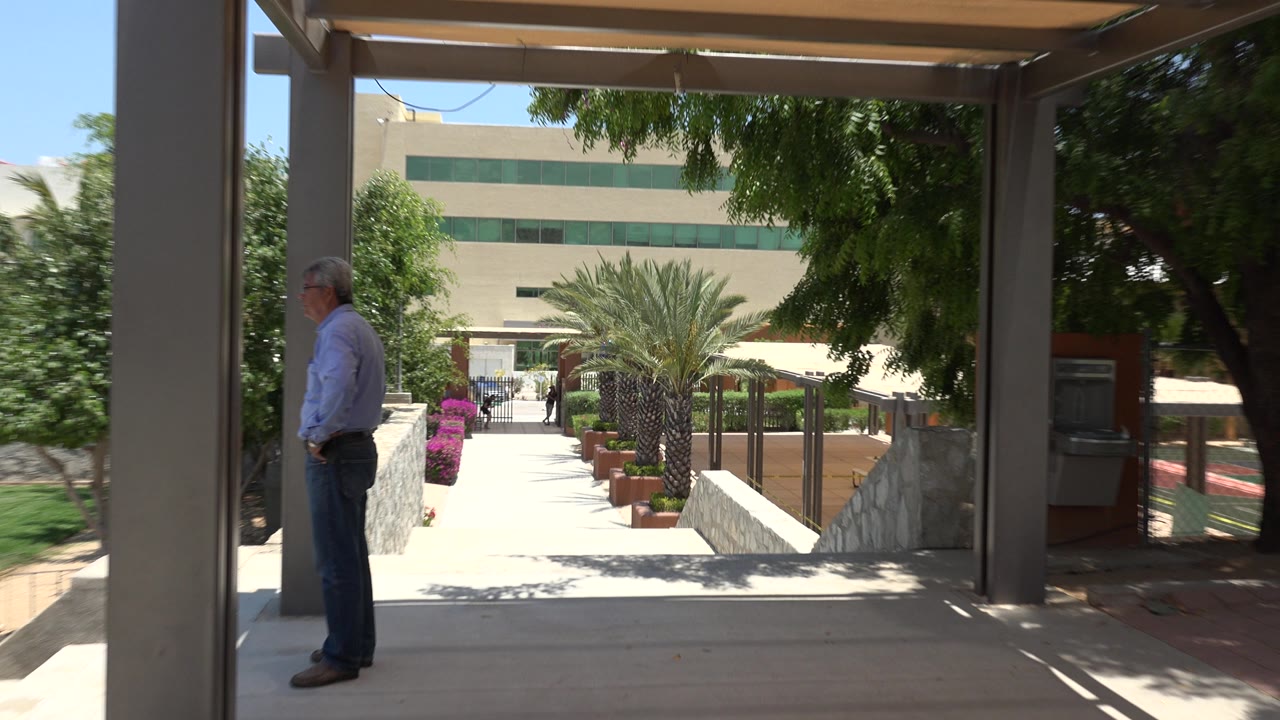 The Cabo San Lucas path remains centered, with the man standing near a foreground post, palm trees and planters leading toward the building entrance.