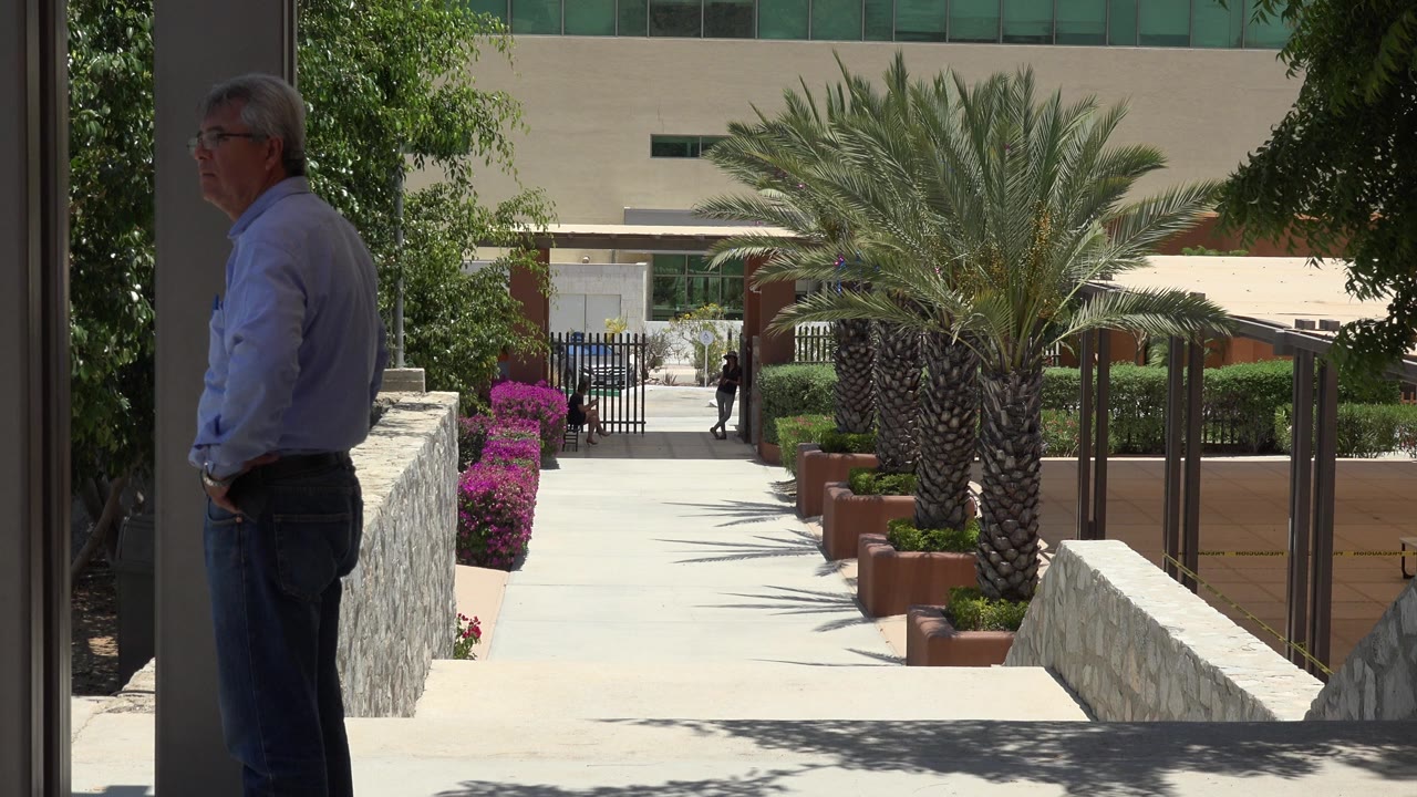 At 0:00, a gray-haired man in glasses stands in profile at the left edge of a Cabo San Lucas walkway, with a palm tree, purple flowers, stone walls, and a modern building in bright sun.