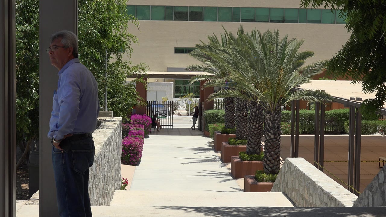 At 0:00 in Cabo San Lucas, an older man stands near the shaded left foreground while a bright palm-lined walkway, magenta flowers, stone walls, and a beige building fill the background.