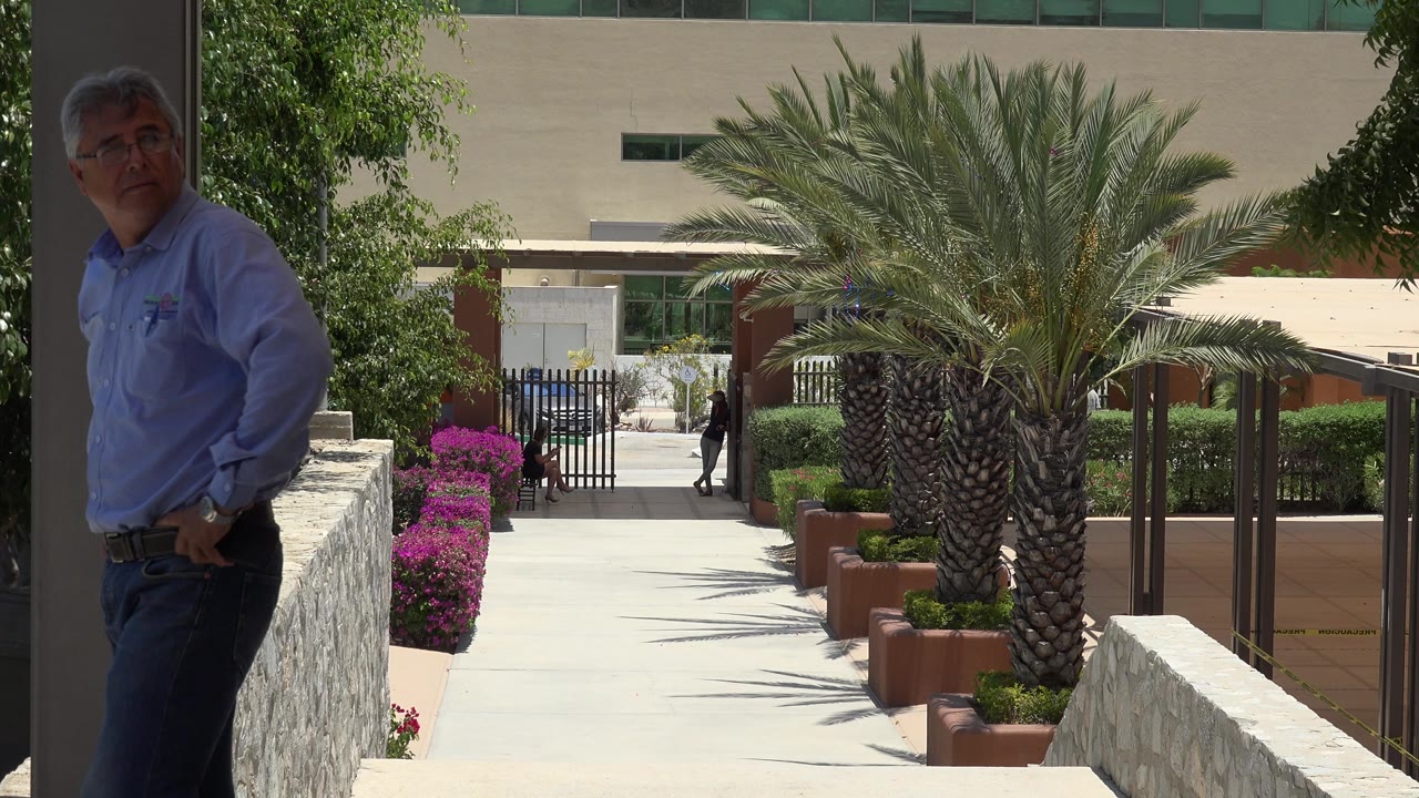 Older man turns toward the camera near a palm-lined walkway.
