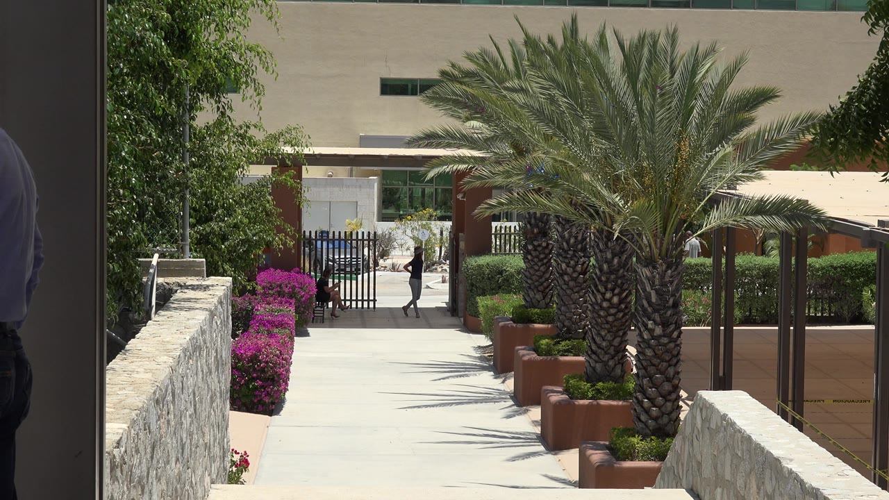 Bright walkway framed by a large palm, flowers, stone walls, planters, and a gated entry.