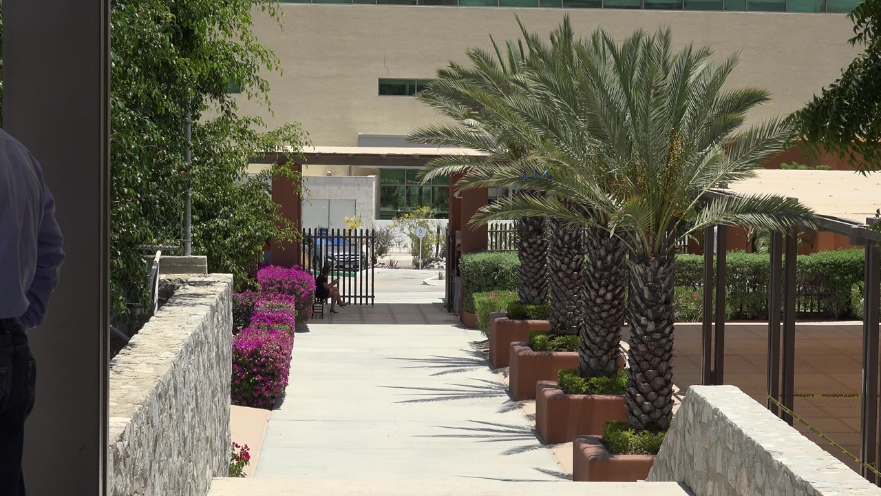 Sunlit entry walkway with palms, flowers, stone walls, and partial people at the edges.