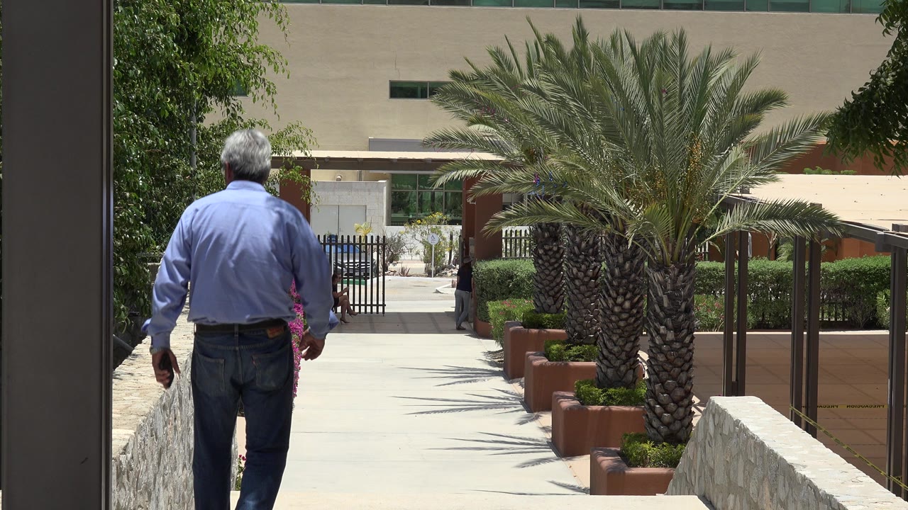 The elderly man continues down the Cabo San Lucas walkway, framed by stone walls, trees, planters, and a large palm in bright daylight.