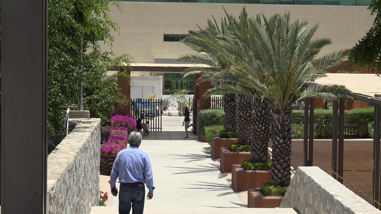 Older man in a blue shirt and jeans begins descending outdoor stairs in Cabo San Lucas, Mexico, with palm trees, magenta flowers, stone walls, and distant pedestrians ahead.