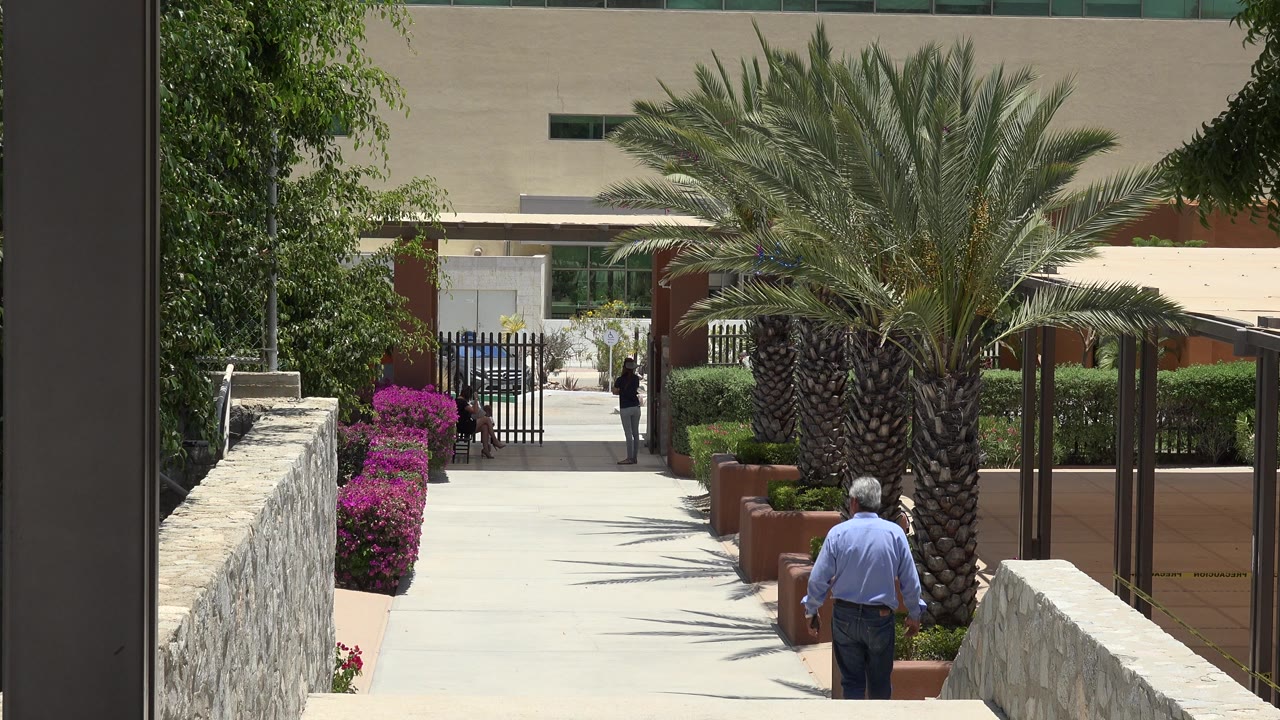 In Cabo San Lucas, Mexico, the man has moved slightly lower in frame while the walkway, tall palm, magenta flower beds, stone wall, and distant pedestrians remain visible in strong sun.