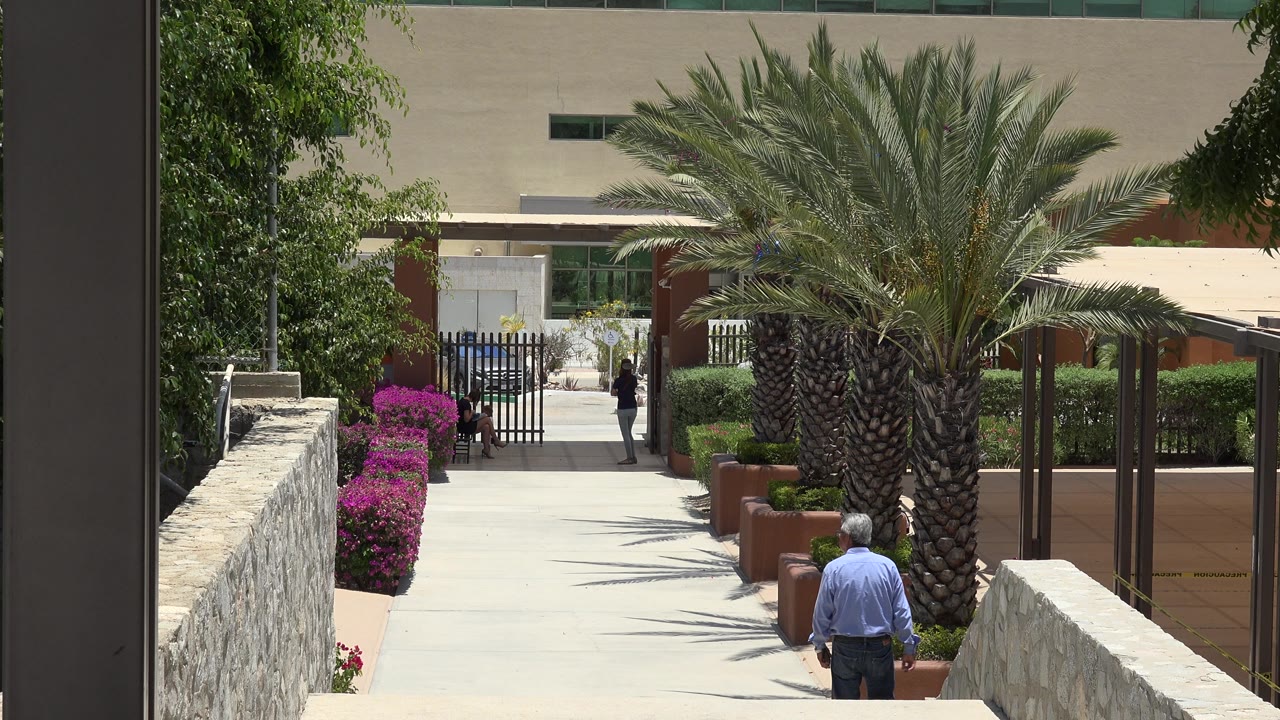 Man walking near lower edge of landscaped walkway scene.