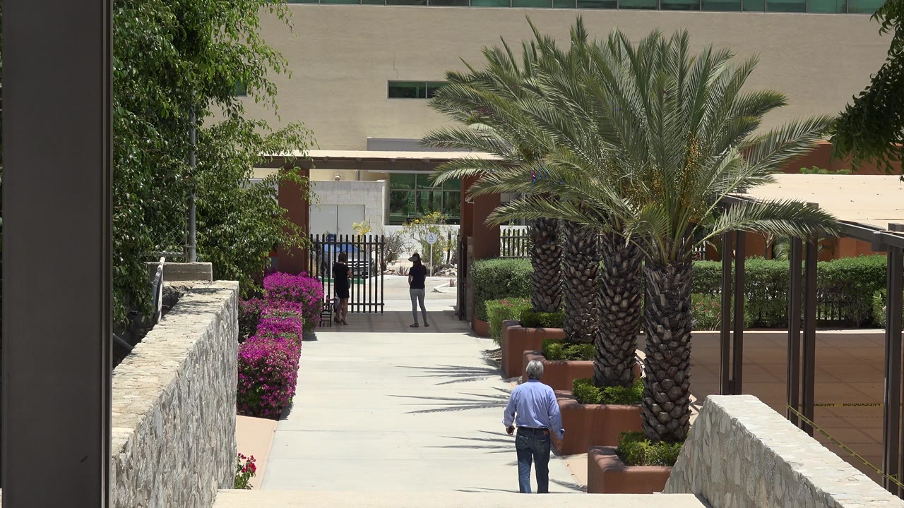Sunlit walkway with palm trees, flowers, and pedestrians near a gate.