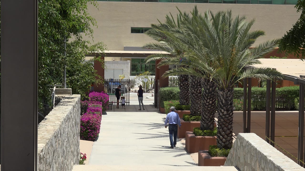 In Cabo San Lucas, Mexico, the man continues down the sunlit path, closer to the central palm trees, with magenta flowers on the left and distant people near the gate.