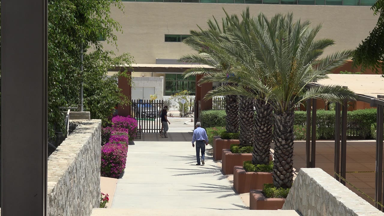 At 0:01 in Cabo San Lucas, the blue-shirted man has moved deeper into the walkway while a dark-clothed pedestrian stands near the black gate behind the central palm.