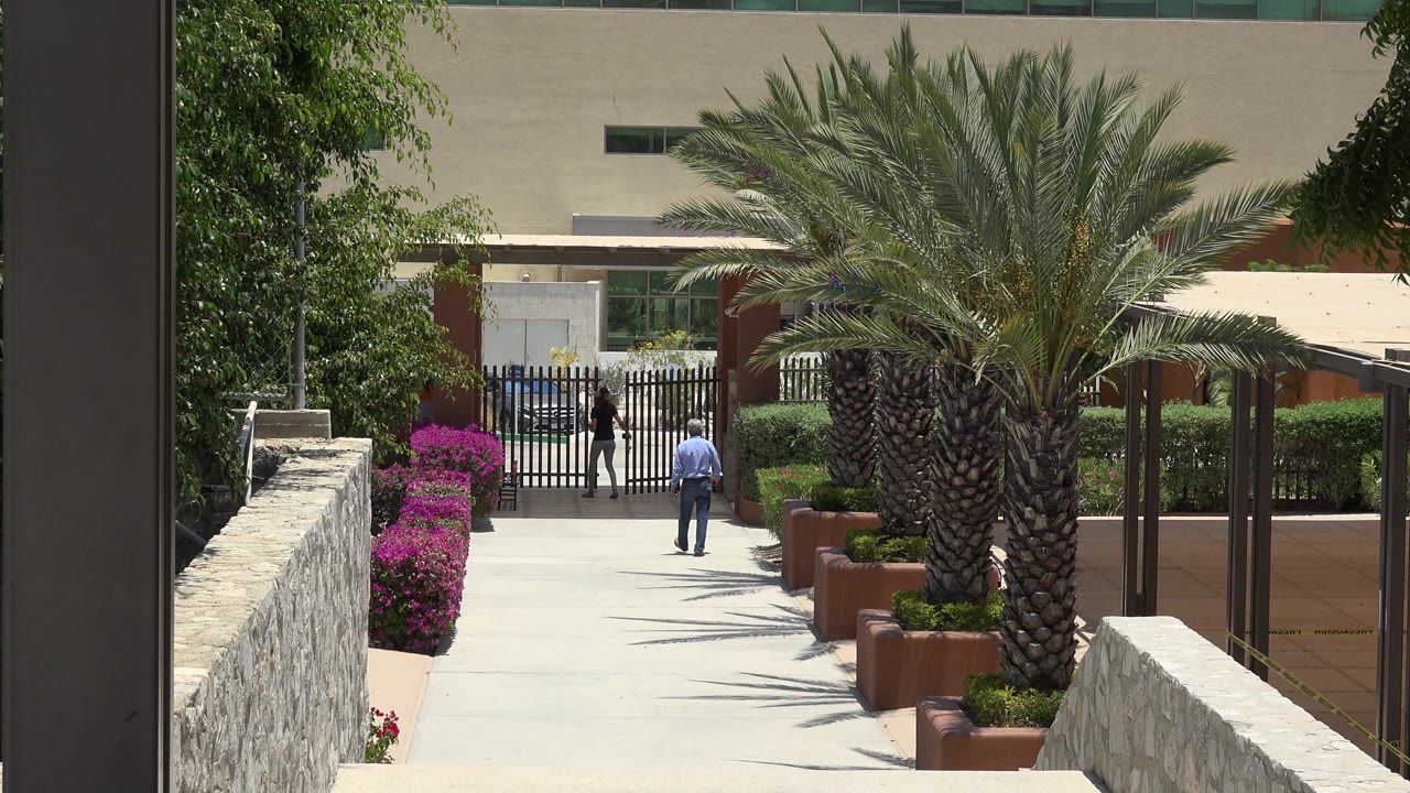 Palm-lined walkway leading to a black metal gate with two distant people.