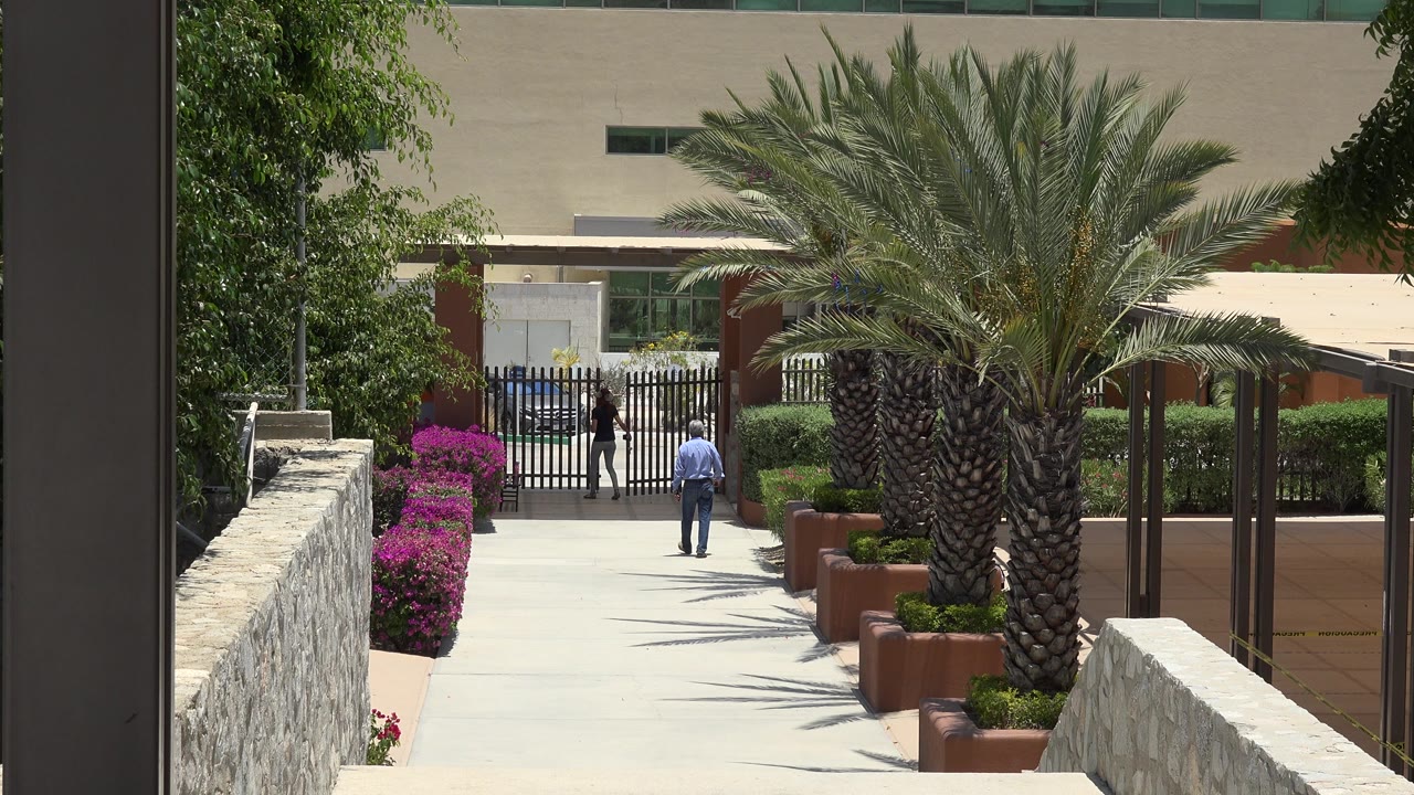 The Cabo San Lucas garden path remains framed by palms and pink flowers as a person in a light shirt walks toward the gate and another stands beyond it.