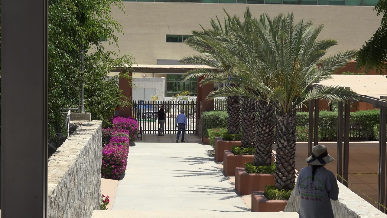 Woman in a straw hat walking along a sunny palm-lined walkway.