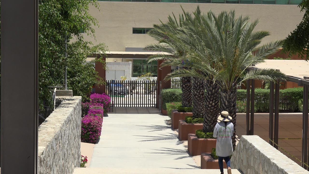 Person in a sun hat walking along a bright landscaped path with palm trees.