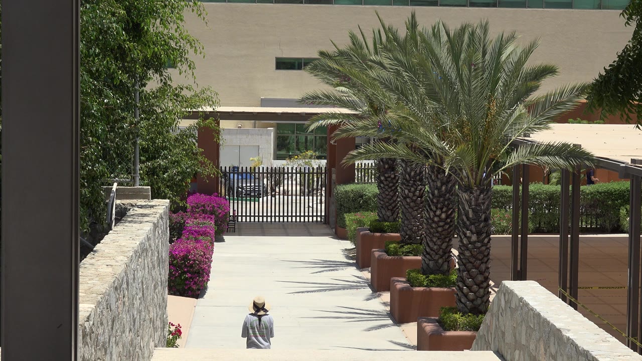 Sunlit walkway with palm trees, stone walls, flowering shrubs, and a distant person.
