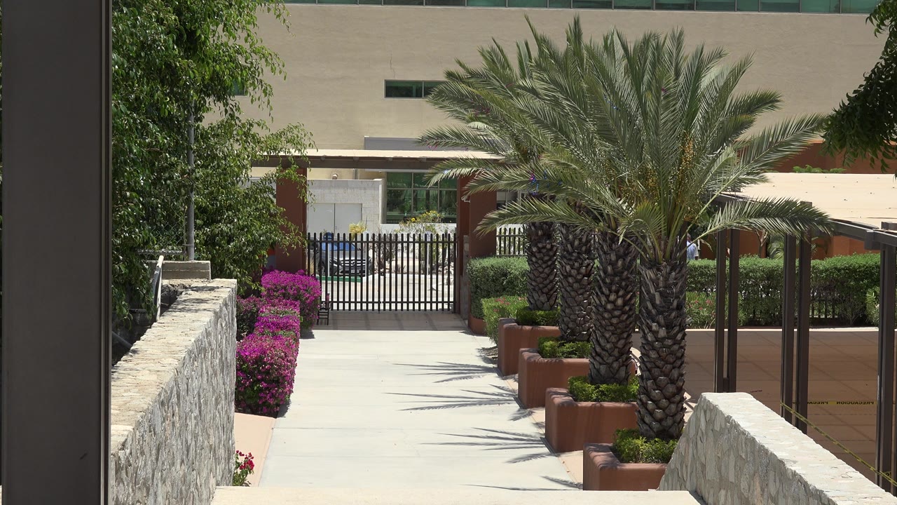 Sunlit walkway with palm trees, stone walls, flowers, and a black gate.