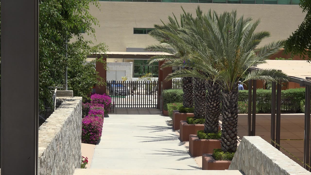 Cabo San Lucas exterior walkway seen one second in, with the palm trunks centered, flower beds along the left side, gate in back, and no visible people.