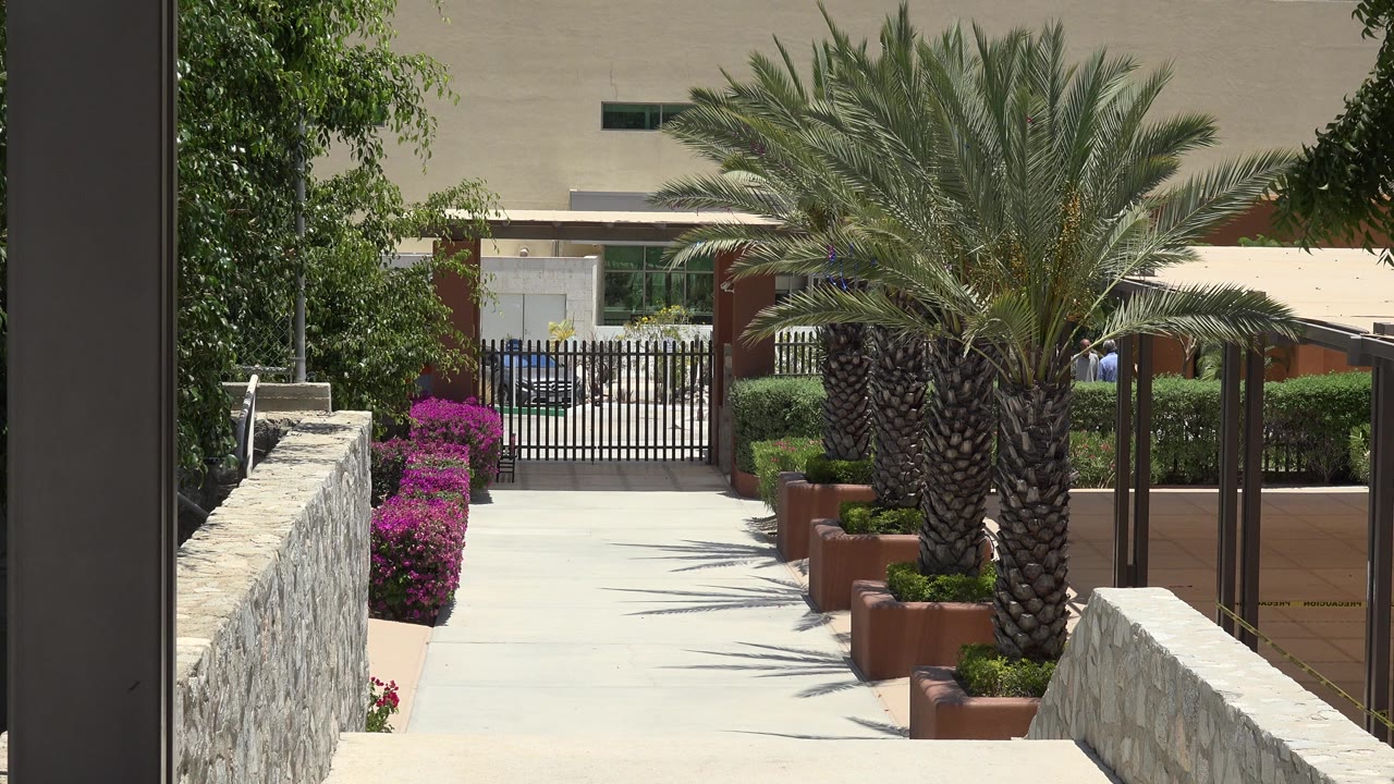 Sunlit walkway beside stone walls and palm landscaping leading toward a black gate.
