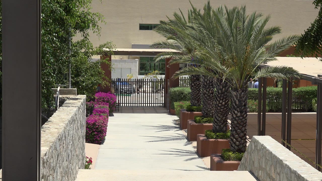 At 0:01, the Cabo San Lucas walkway remains centered between stone walls, with the palm trunk, planters, flowering shrubs, gate, and no visible people.