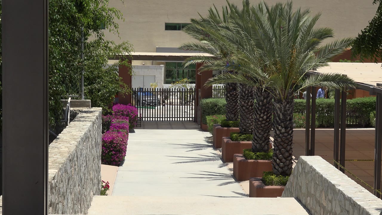 Opening frame of a Cabo San Lucas walkway lined with stone walls, magenta flowers, planters, a large palm, a black gate, and a beige building, with no visible people.