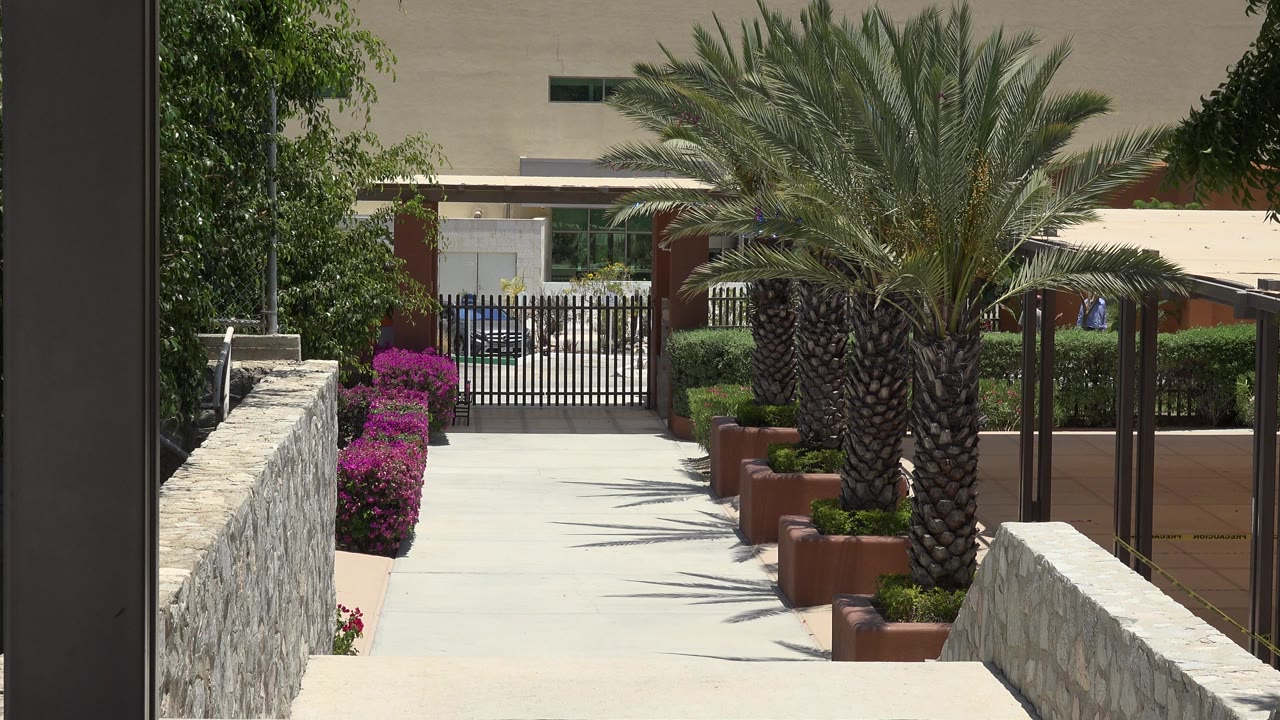 Landscaped walkway with magenta flowers, large palm, planters, stone walls, and gated background.