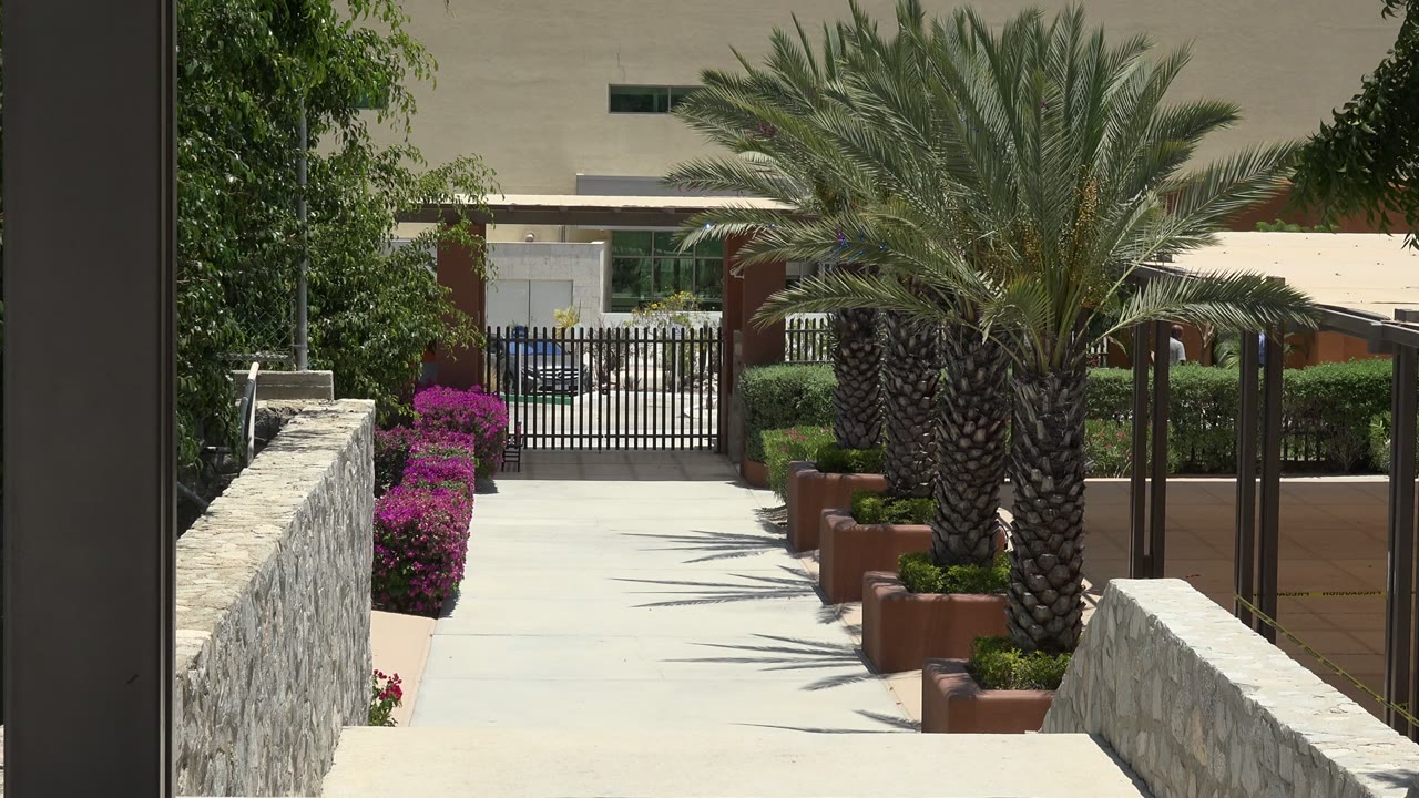 Sunlit walkway with palm trees, stone walls, flowers, and a black gate.
