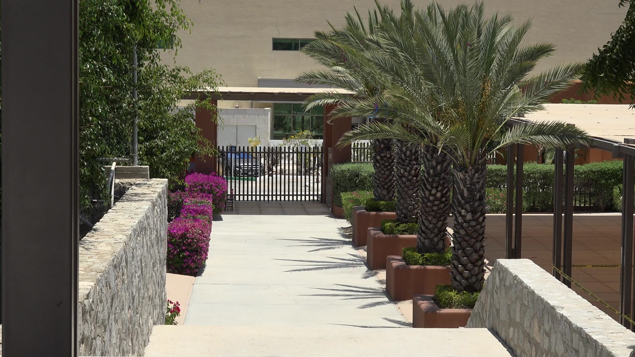 Sunlit walkway with stone walls, palms, pink flowers, and a black gate.
