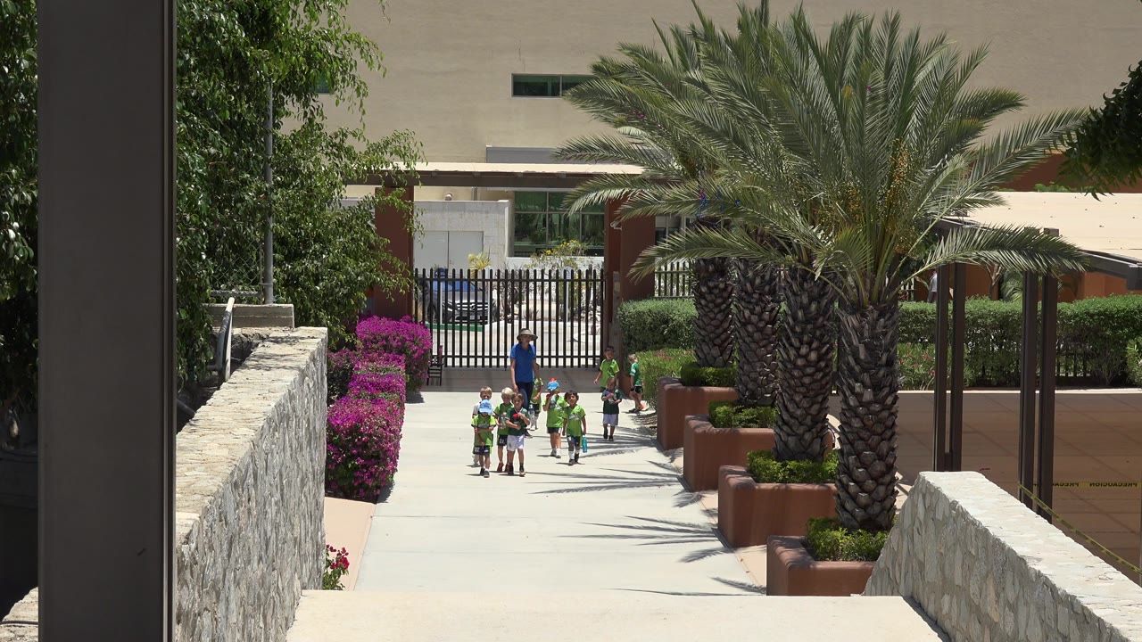 Children and a coach walk on a sunny path near a palm tree.