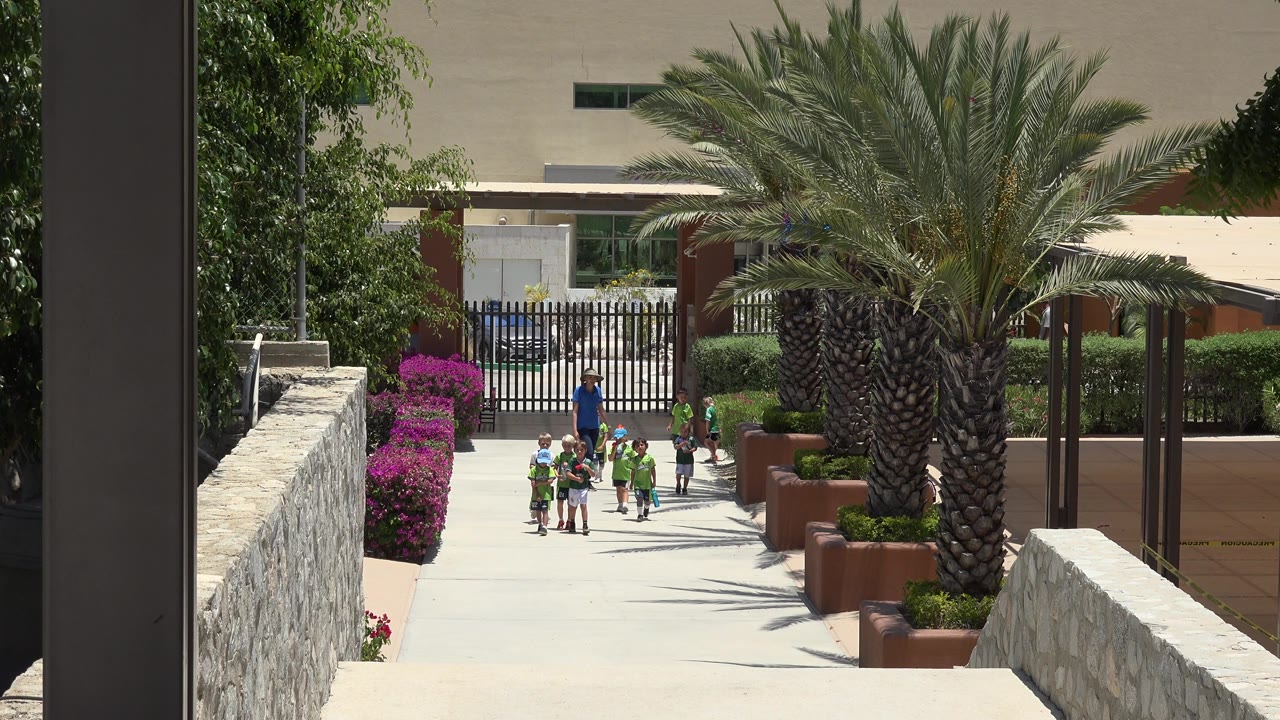 The group of children and the coach remain centered on the Cabo San Lucas walkway, with the stone wall on the left and the palm trunk filling the right side of the frame.